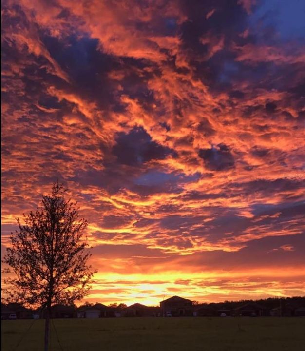 待售: $300,000 (3 贝兹, 2 浴室, 1443 平方英尺)