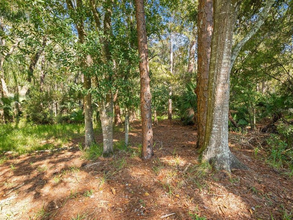 En Venta: $360,000 (3 camas, 2 baños, 1620 Pies cuadrados)