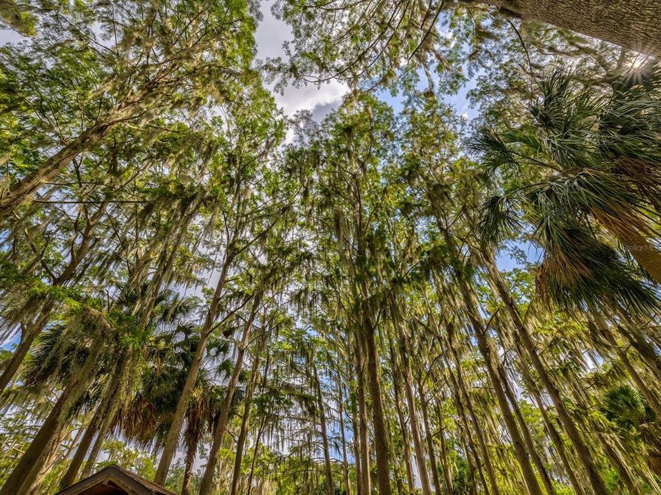 En Venta: $360,000 (3 camas, 2 baños, 1620 Pies cuadrados)