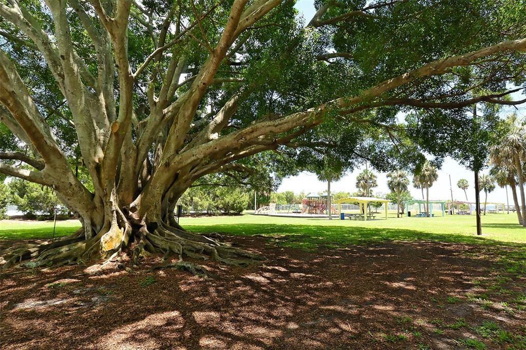 Active With Contract: $140,000 (2 beds, 2 baths, 898 Square Feet)