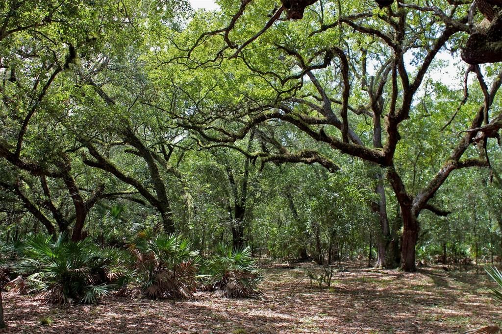 For Sale: $250,000 (8.11 acres)