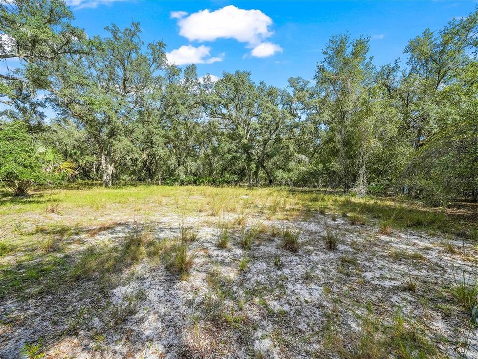 For Sale: $250,000 (8.11 acres)