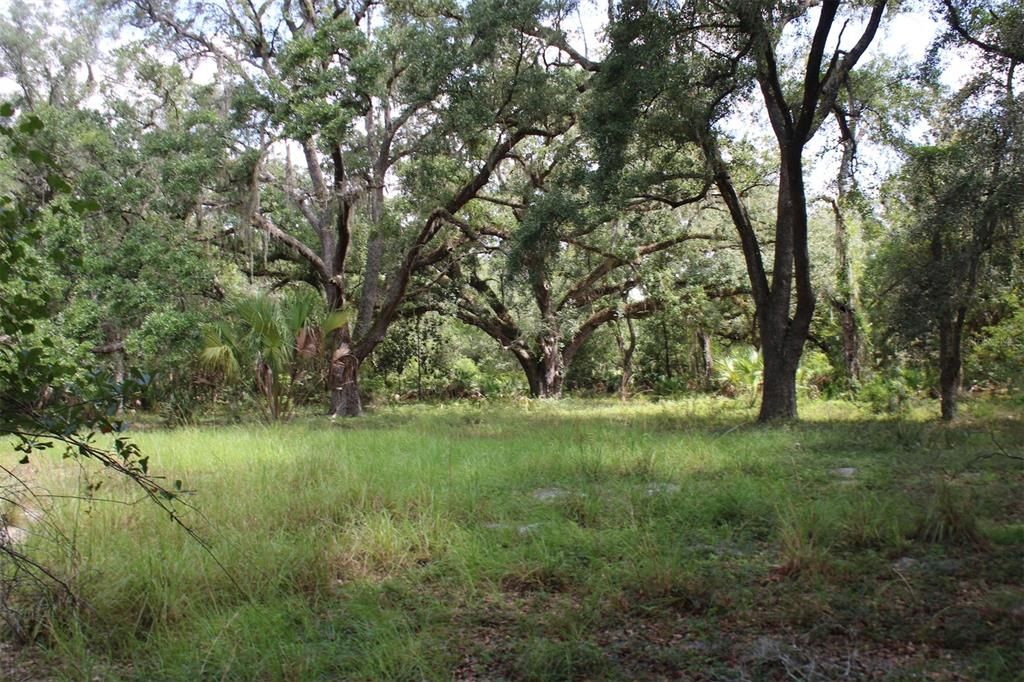 For Sale: $250,000 (8.11 acres)