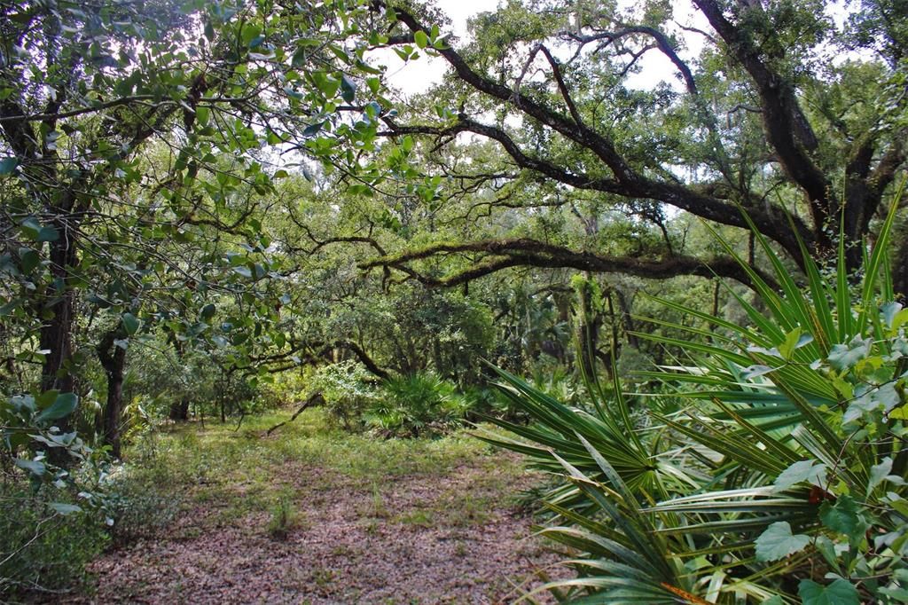 For Sale: $250,000 (8.11 acres)