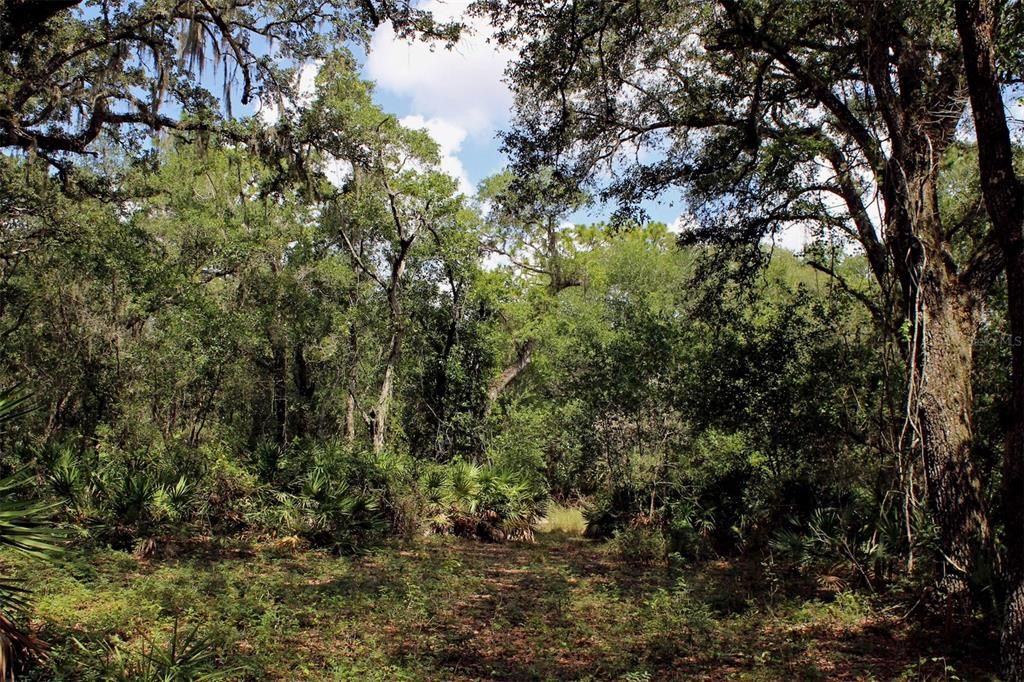 For Sale: $250,000 (8.11 acres)