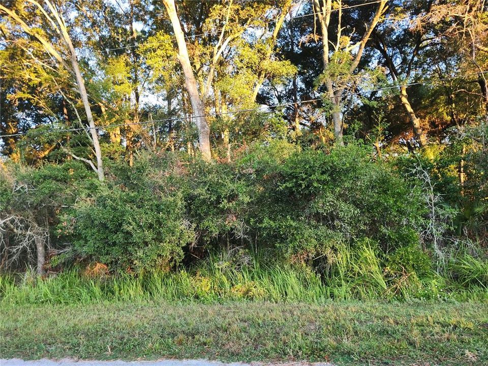 Active With Contract: $35,000 (0.23 acres)