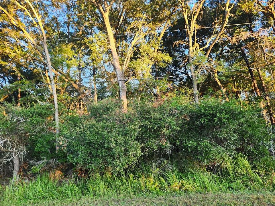 Active With Contract: $35,000 (0.23 acres)