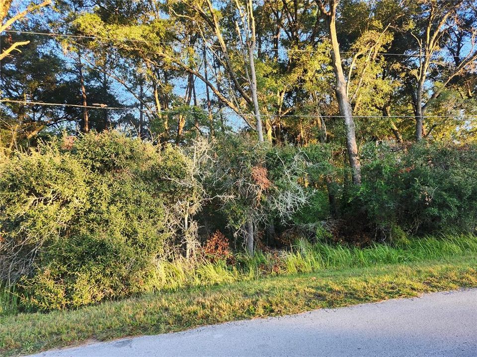 Active With Contract: $35,000 (0.23 acres)