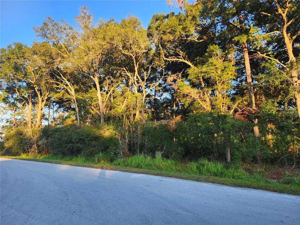 Active With Contract: $35,000 (0.23 acres)