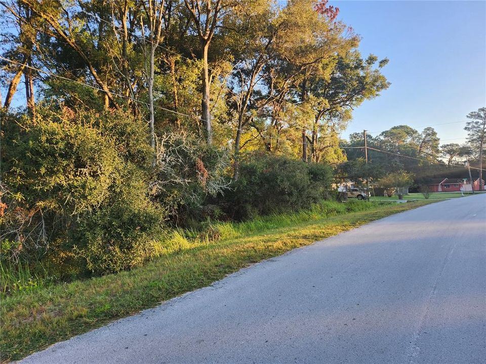 Active With Contract: $35,000 (0.23 acres)