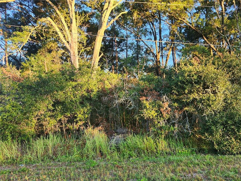 Active With Contract: $35,000 (0.23 acres)