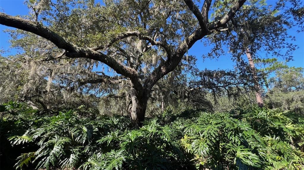 En Venta: $120,000 (2 camas, 2 baños, 1123 Pies cuadrados)