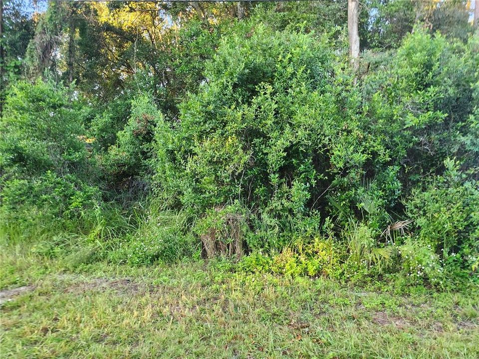 合同活跃: $35,000 (0.23 acres)