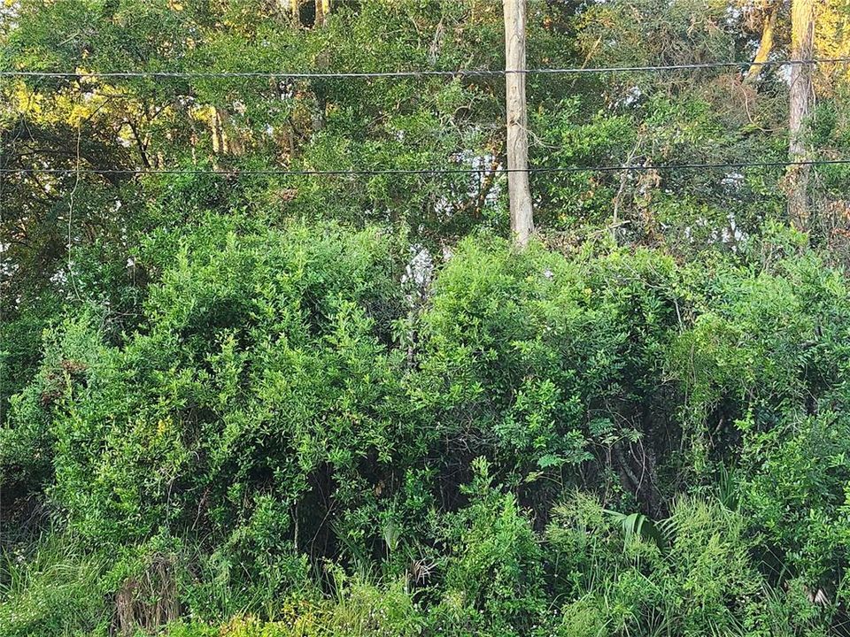 合同活跃: $35,000 (0.23 acres)