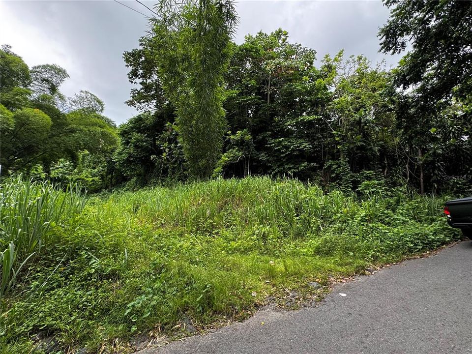 На продажу: $239,700 (9.00 acres)