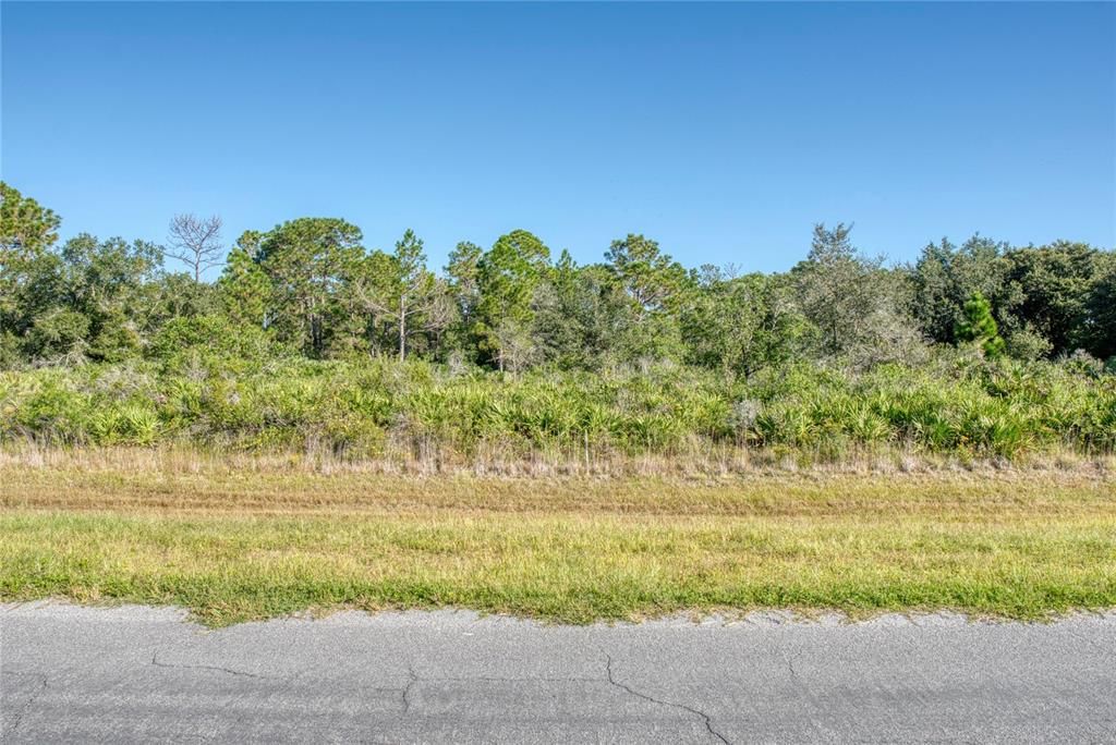 Activo con contrato: $155,000 (1.74 acres)