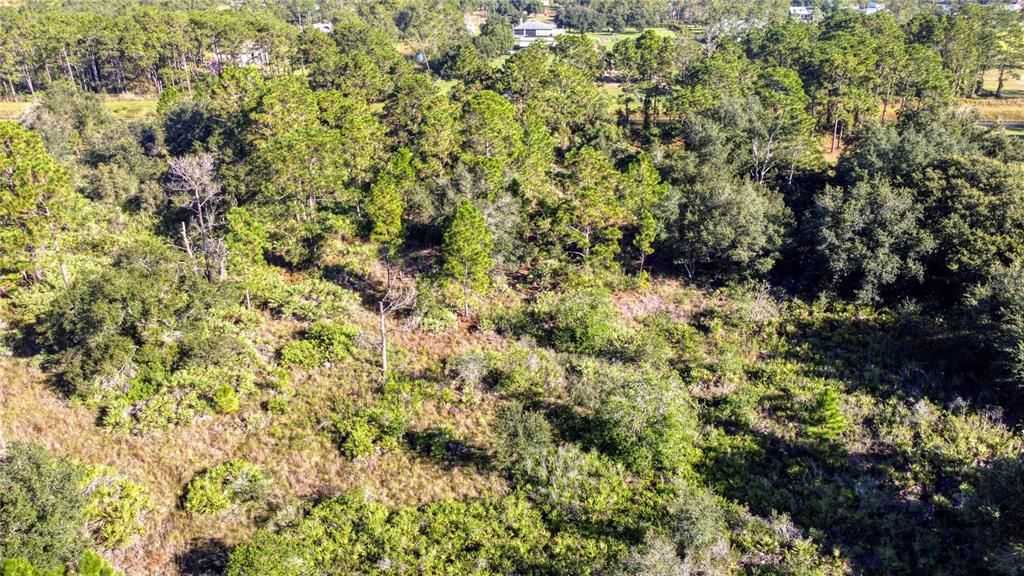 Activo con contrato: $155,000 (1.74 acres)