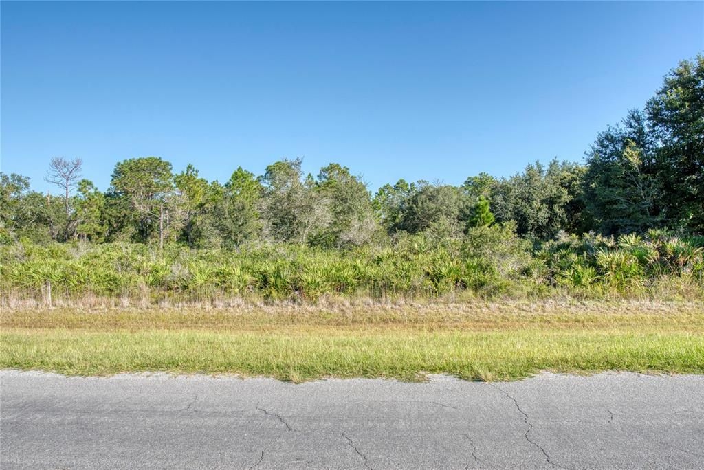 Activo con contrato: $155,000 (1.74 acres)