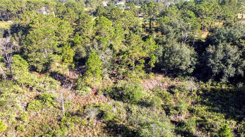 Activo con contrato: $155,000 (1.74 acres)