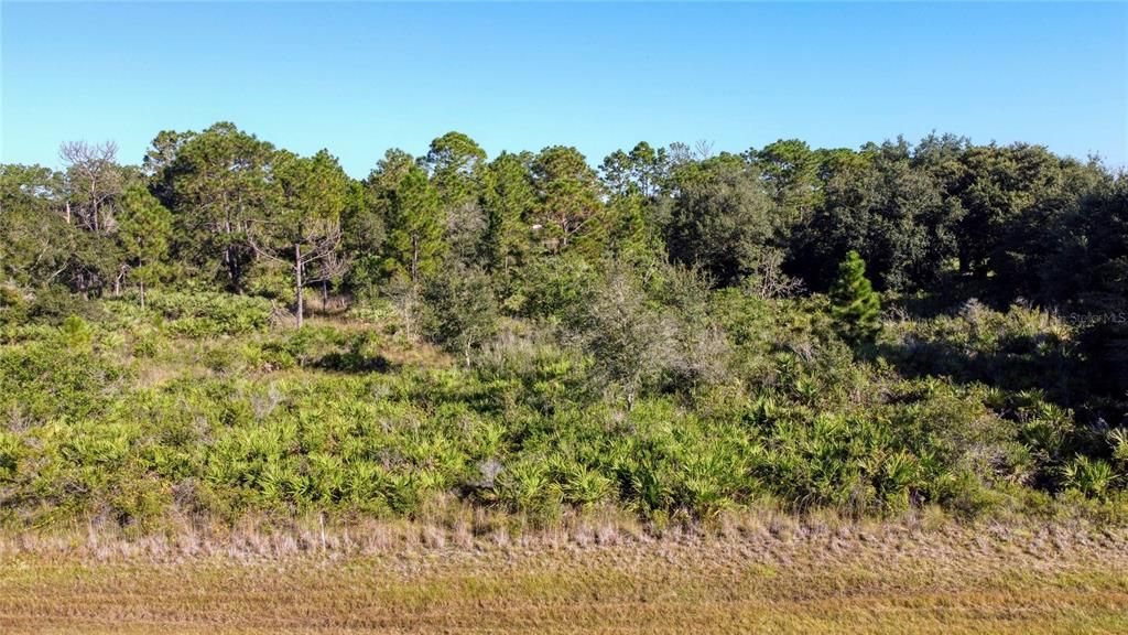 Activo con contrato: $155,000 (1.74 acres)