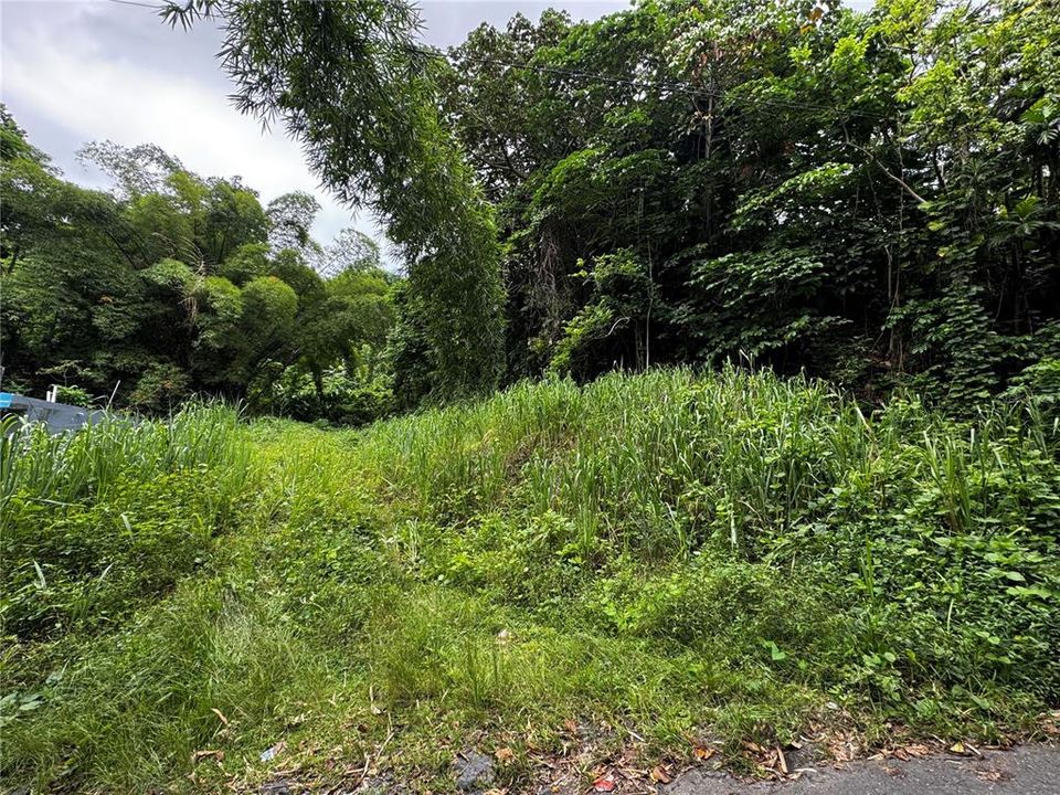 For Sale: $79,900 (3.00 acres)