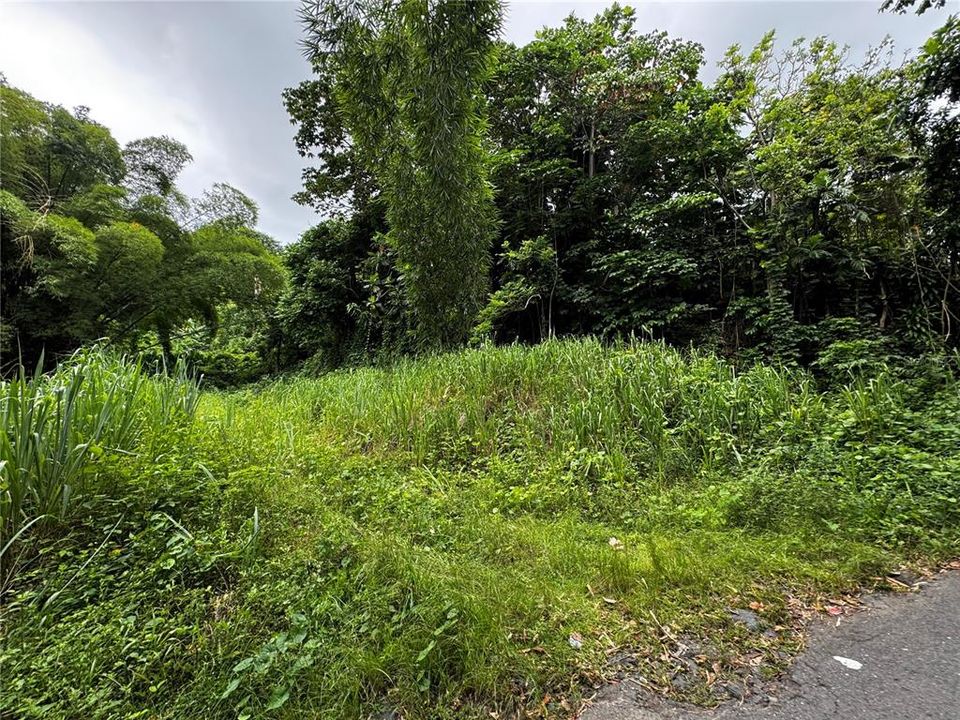 For Sale: $79,900 (3.00 acres)