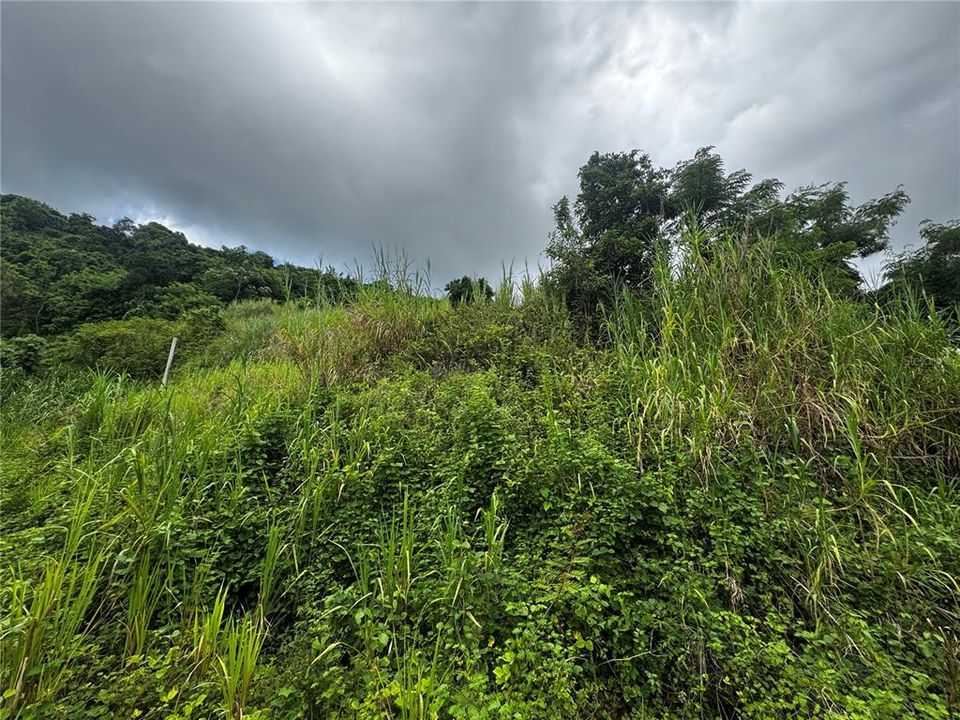 For Sale: $79,900 (3.00 acres)