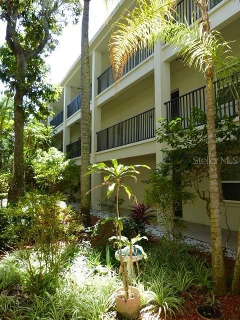 出租: $2,995 (2 贝兹, 1 浴室, 930 平方英尺)