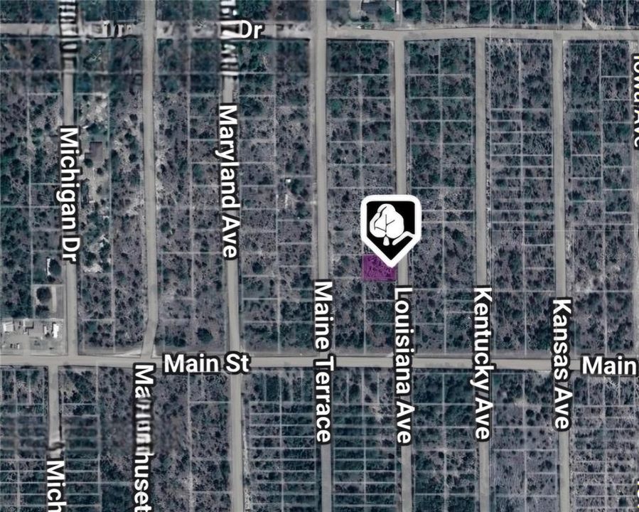 For Sale: $6,700 (0.20 acres)