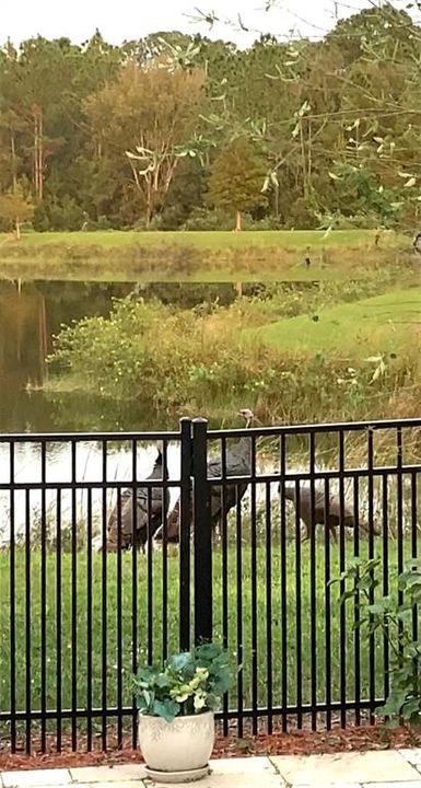 На продажу: $320,000 (2 спален, 2 ванн, 1534 Квадратных фут)