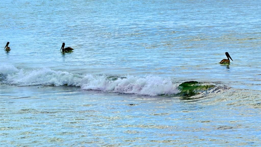 На продажу: $3,999,995 (4 спален, 4 ванн, 2977 Квадратных фут)