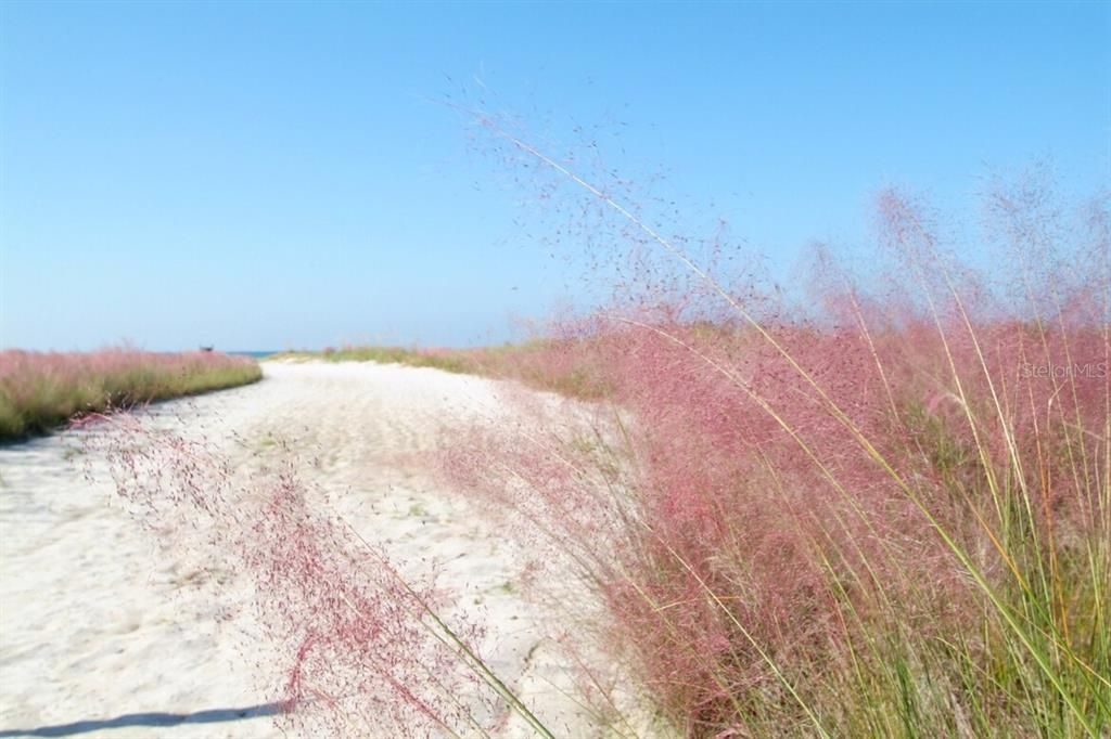 待售: $975,000 (3 贝兹, 2 浴室, 1159 平方英尺)