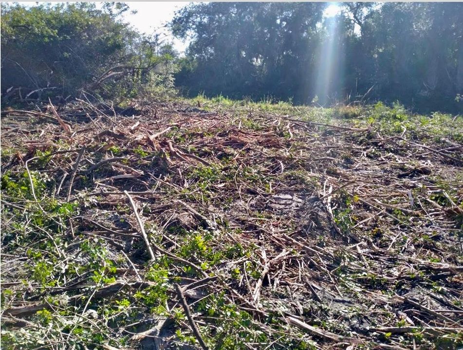 For Sale: $21,500 (0.23 acres)