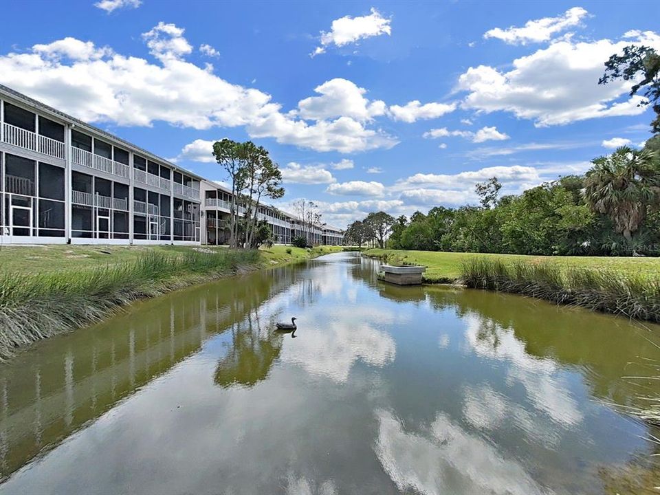 На продажу: $445,900 (4 спален, 3 ванн, 1749 Квадратных фут)