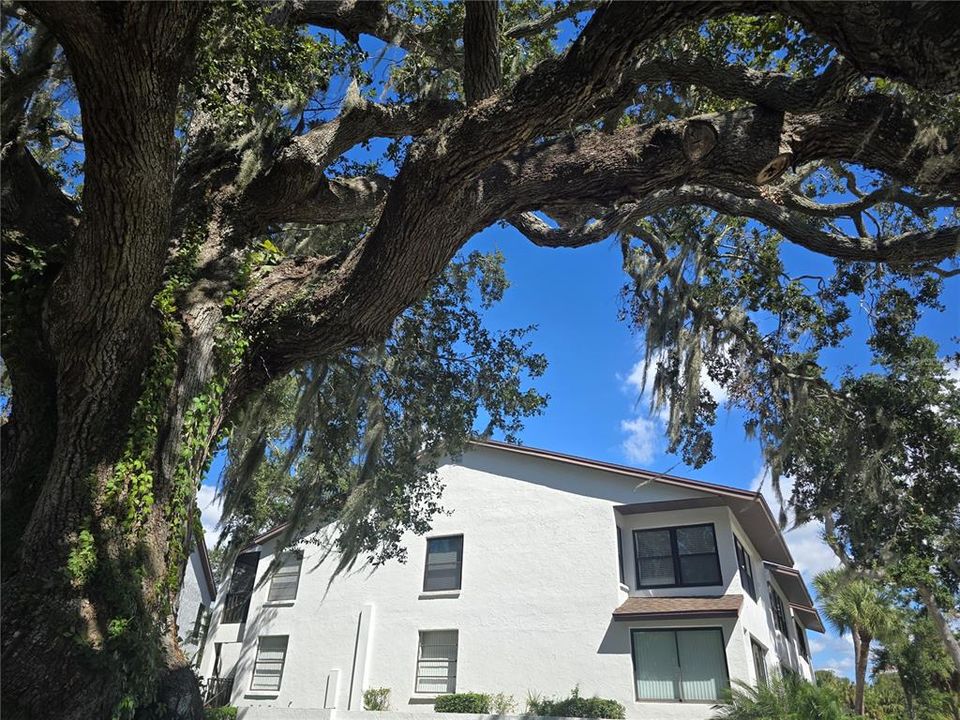 En Venta: $455,000 (2 camas, 2 baños, 1197 Pies cuadrados)