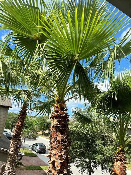 For Sale: $345,000 (3 beds, 2 baths, 1799 Square Feet)