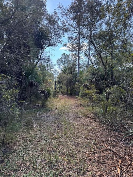 На продажу: $475,000 (38.00 acres)