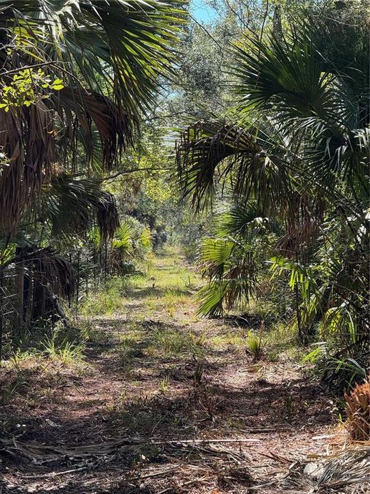 На продажу: $475,000 (38.00 acres)