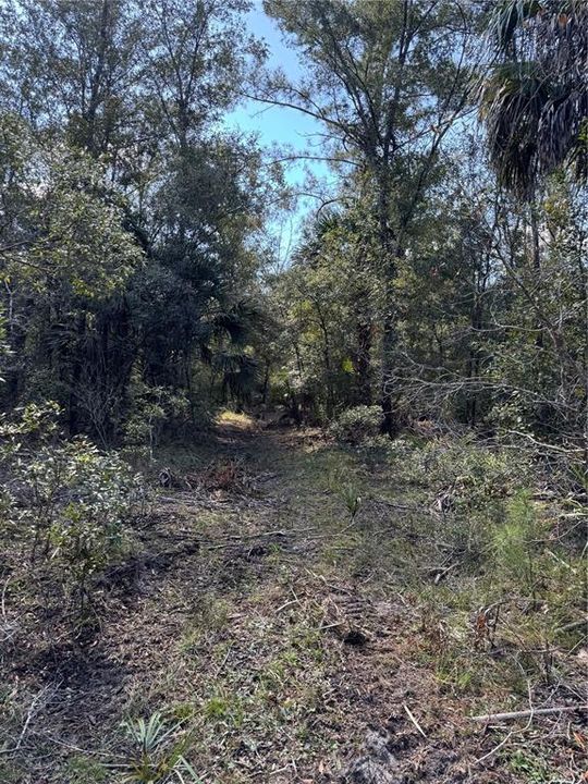 На продажу: $475,000 (38.00 acres)