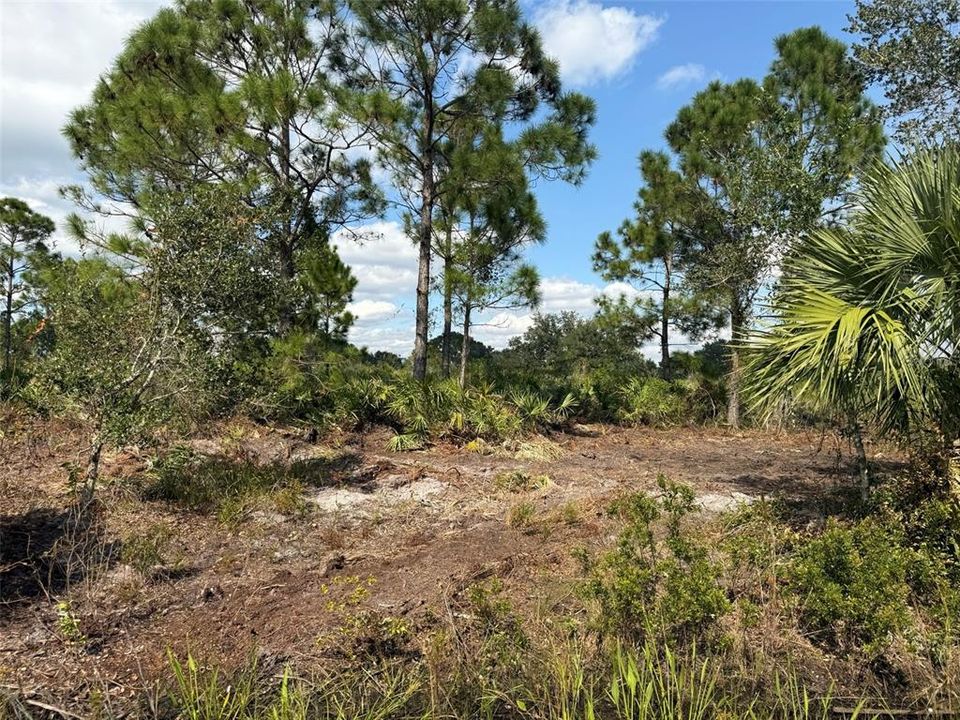 Activo con contrato: $27,500 (1.25 acres)