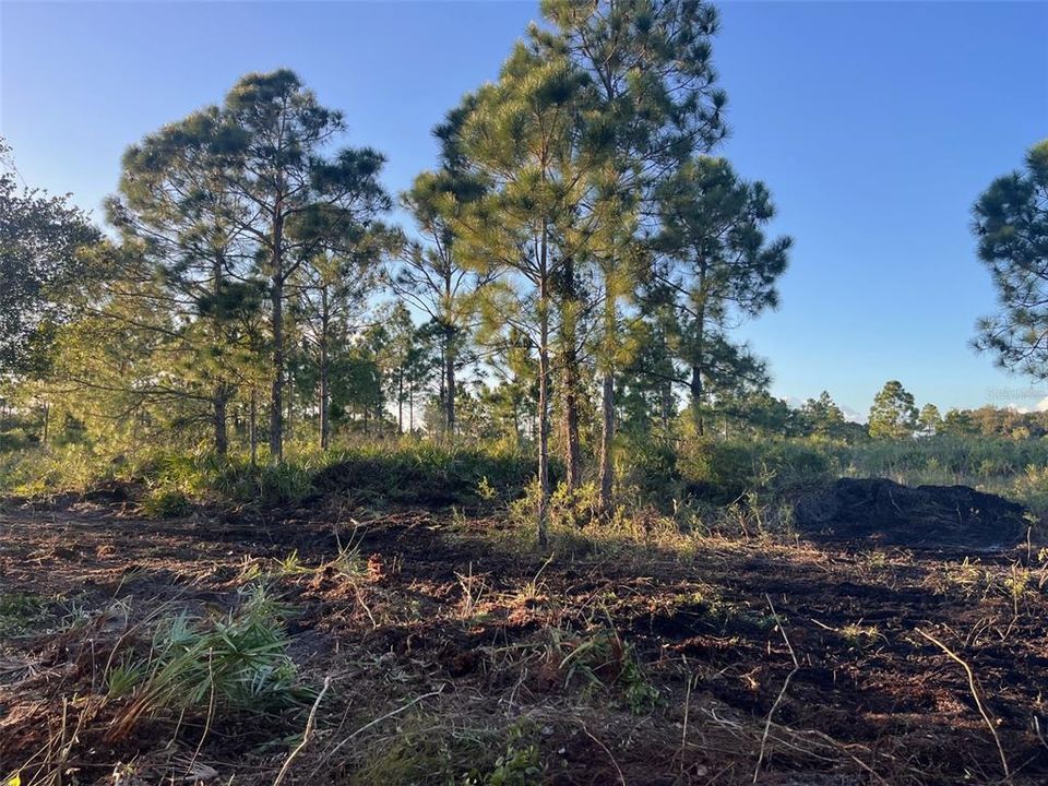 Activo con contrato: $27,500 (1.25 acres)