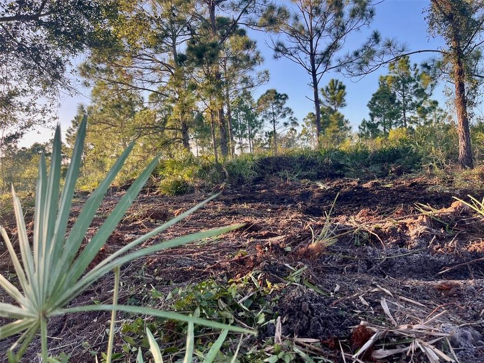 Activo con contrato: $27,500 (1.25 acres)