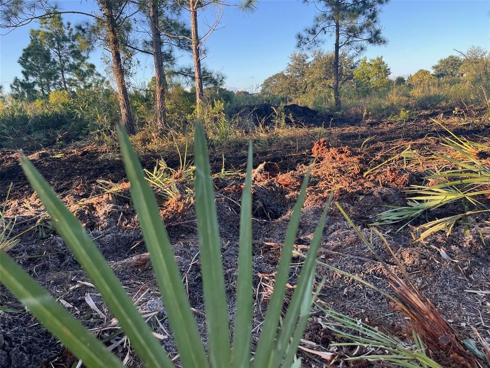 Activo con contrato: $27,500 (1.25 acres)