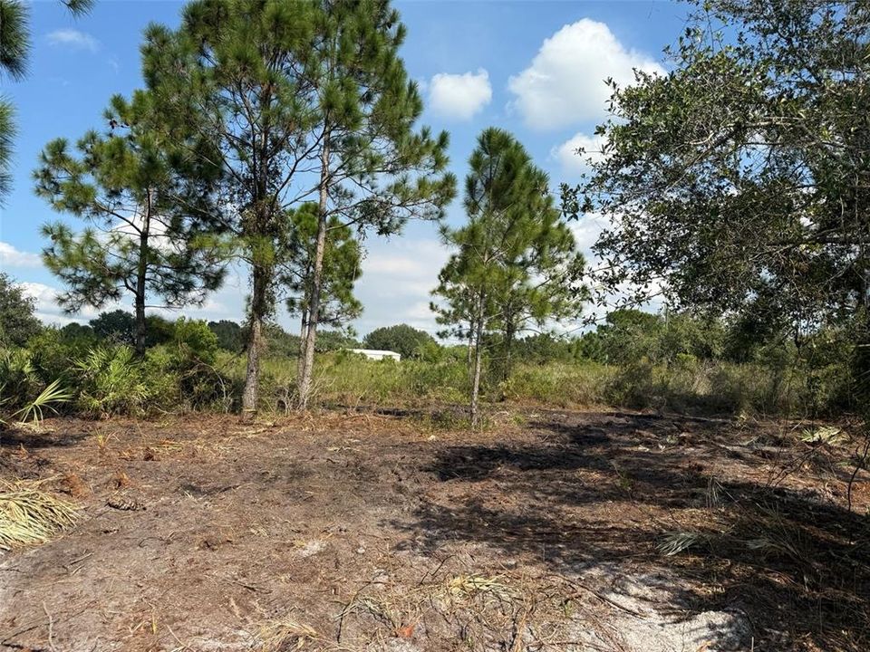 Activo con contrato: $27,500 (1.25 acres)