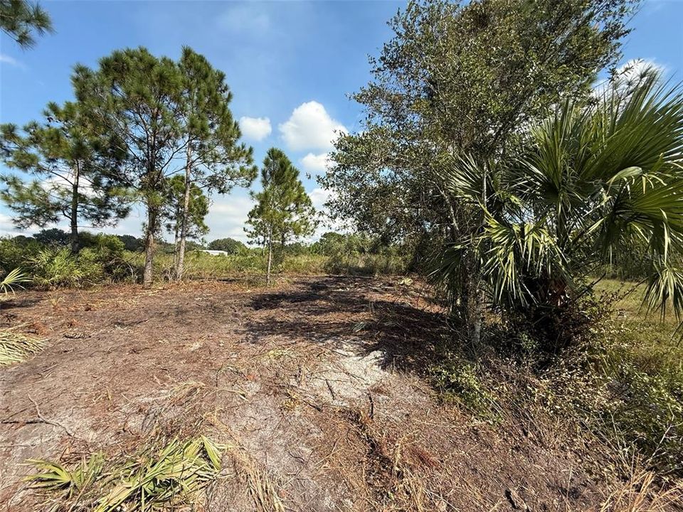 Activo con contrato: $27,500 (1.25 acres)