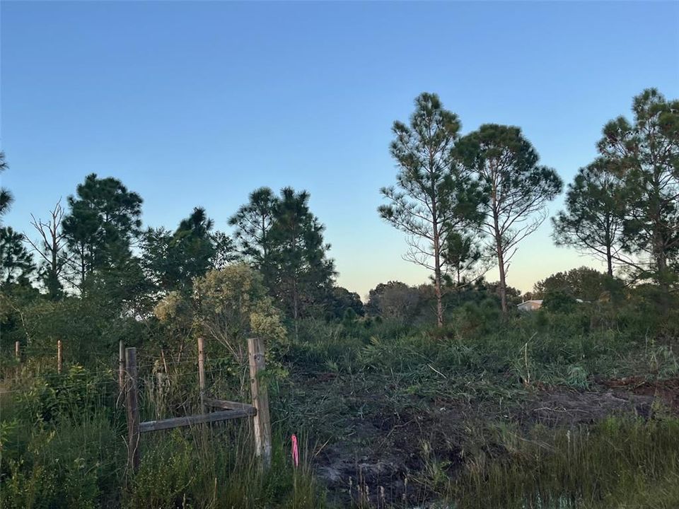 Activo con contrato: $27,500 (1.25 acres)