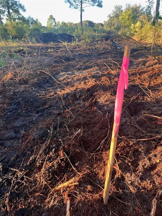 Activo con contrato: $27,500 (1.25 acres)