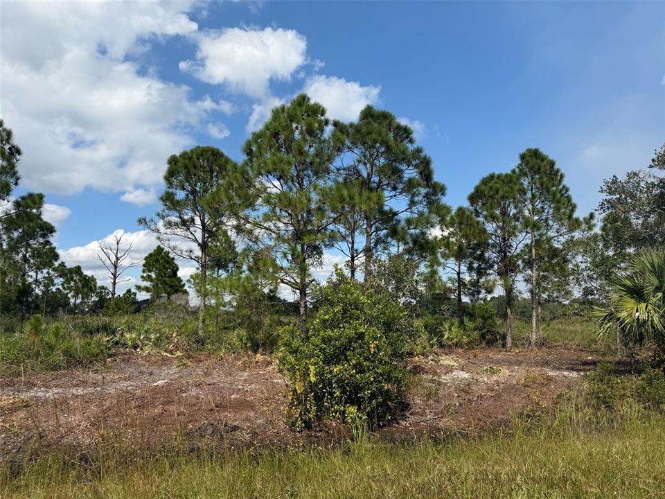 Activo con contrato: $27,500 (1.25 acres)