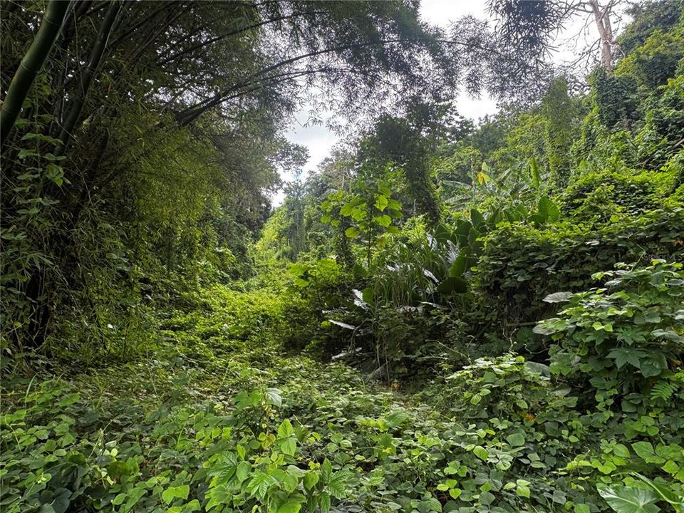 待售: $79,900 (3.00 acres)