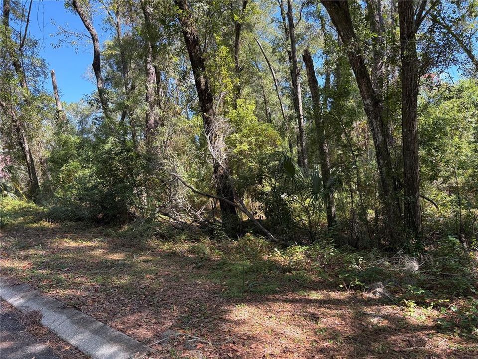 На продажу: $27,500 (0.33 acres)